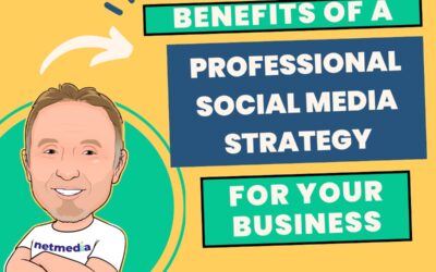 Benefits of Professional of a Social Media Strategy for Your Business